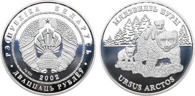 Лот №69,  Республика Беларусь. 20 рублей 2002 года. Бурый медведь.