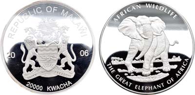 Лот №82,  Малави. Республика. 20000 квача 2006 года. Серия Дикая природа Африки. Большой африканский слон.