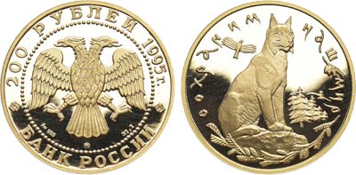 Лот №92, 200 рублей 1995 года. Серия 