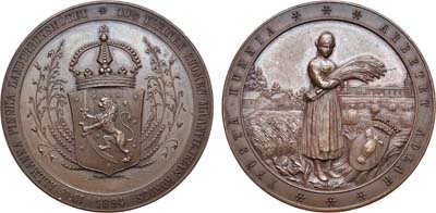 Лот №1094, Медаль 1894 года. 10-ой выставки земледельческих продуктов в г. Ваза.