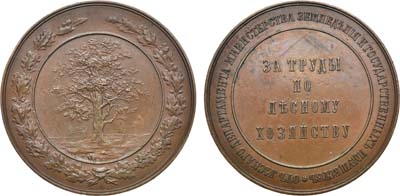Лот №941, Медаль За труды по лесному хозяйству. Для лесных отделов сельскохозяйственных выставок.