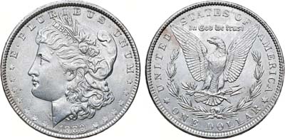 Лот №204,  США. 1 доллар 1889 года.