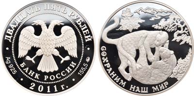 Лот №1347, 25 рублей 2011 года. Сохраним наш мир. Переднеазиатский леопард.