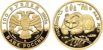 Лот №40, 100 рублей 1993 года. Серия 
