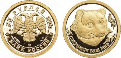 Лот №47, 25 рублей 1993 года. Серия 