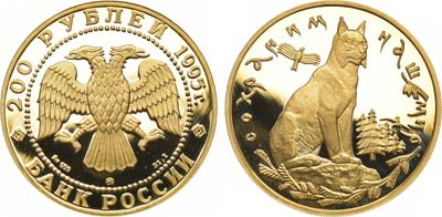 Лот №68, 200 рублей 1995 года. Серия 