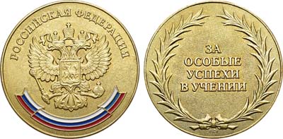 Лот №1344, Медаль 2007 года. школьная 