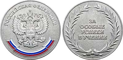 Лот №1348, Медаль 2007 года. школьная 