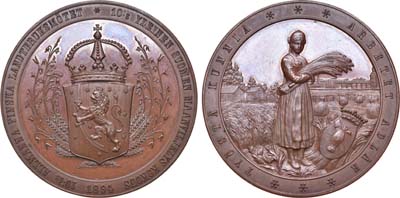Лот №472, Медаль 1894 года. 10-ой выставки земледельческих продуктов в г. Ваза.