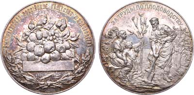 Лот №499, Медаль 1899 года. Императорского Российского общества плодоводства.