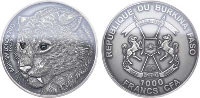 Лот №20,  Буркина-Фасо. 1000 франков 2013 года. Саблезубый тигр (детёныш SMILODONA).