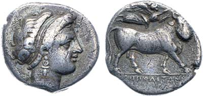 Лот №28,  Кампания. г. Неаполь. Дидрахма 300-275 гг. до н.э.