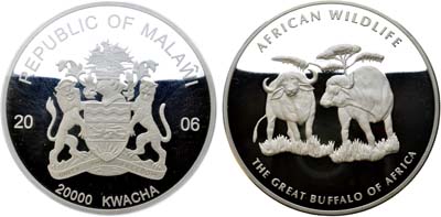 Лот №67,  Малави. Республика. 20000 квача 2006 года. Серия Дикая природа Африки-Африканский Бизон.