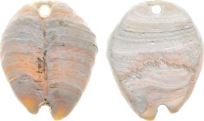 Лот №215,  Китай. Империя. Династия Джау до VII века до н.э. Имитация каури.