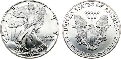 Лот №422,  США. 1 доллар 1987 года. Шагающая свобода.