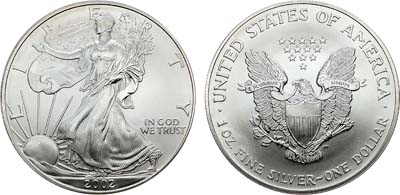 Лот №436,  США. 1 доллар 2002 года. Шагающая свобода.