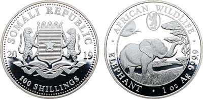 Лот №456,  Сомали. 100 шиллингов 2019 года. Серия 