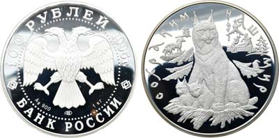 Лот №546, 100 рублей 1995 года. Серия 