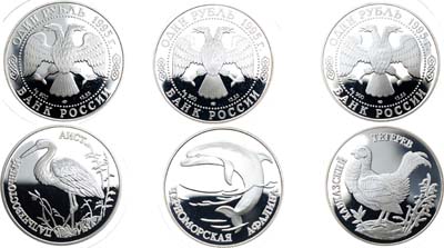 Лот №551, Сборный лот 1995 года. из 3 монет серии 