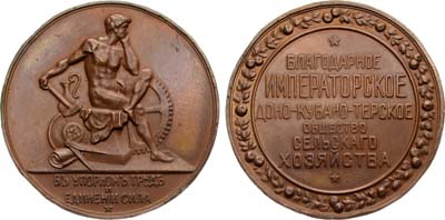 Лот №1043, Медаль Императорское Доно-Кубано-Терское общество сельского хозяйства.