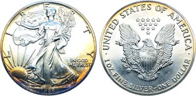 Лот №364,  США. 1 доллар 1989 года. Шагающая свобода.