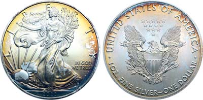 Лот №377,  США. 1 доллар 2020 года.  Шагающая свобода.