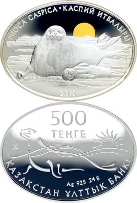 Лот №140,  Казахстан. 500 тенге 2013 года. Фауна Казахстана. Каспийский тюлень.