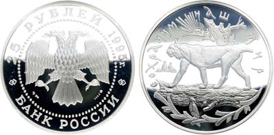 Лот №409, 25 рублей 1995 года. Серия 