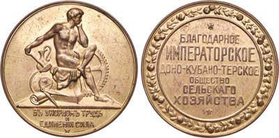 Лот №892, Медаль 1908 года. Императорского Доно-Кубано-Терского общества сельского хозяйства.