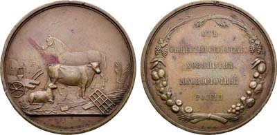 Лот №1482, Медаль От общества сельского хозяйства Юго-Восточной России.