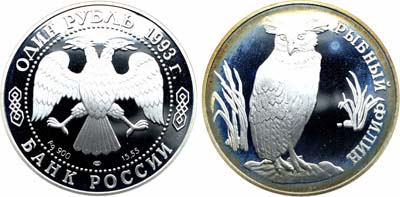 Лот №1960, 1 рубль 1993 года. Серия 
