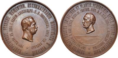 Лот №345, Медаль 1864 года. Императорского русского общества акклиматизации животных и растений.