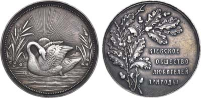 Лот №904, Медаль Киевского общества любителей природы.