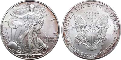 Артикул №23-11251,  США. 1 доллар 2004 года. Шагающая Свобода. Liberty.